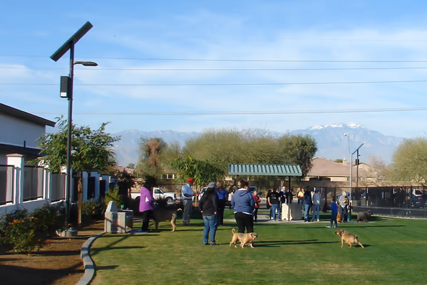 Station 87 Dog Park